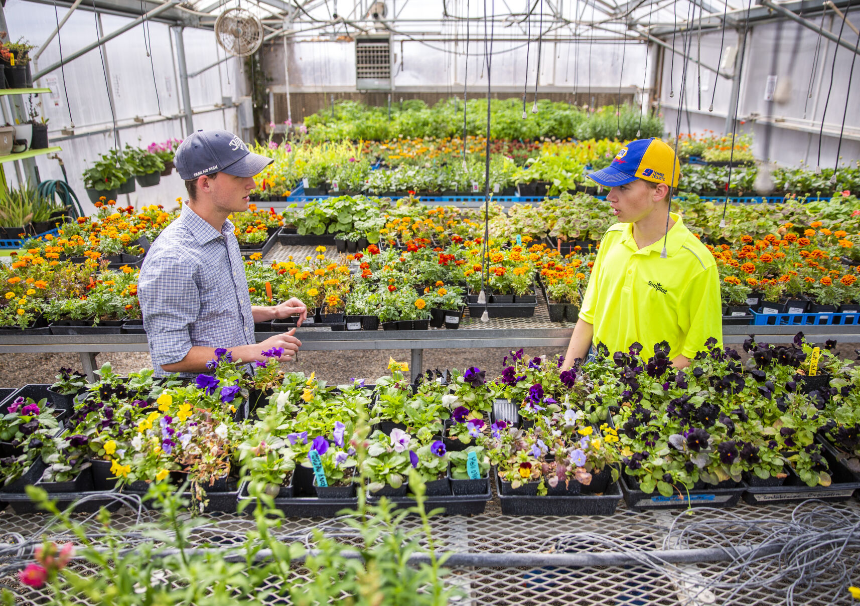 Filer FFA plant sales